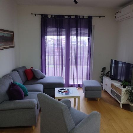 Ribnica Appartamento Podgorica Esterno foto